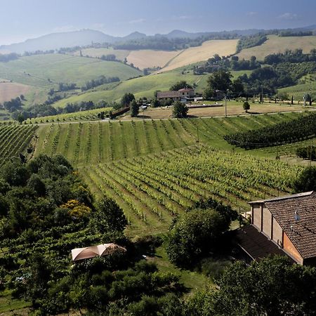 La Ca Dal Non Bioagriturismo - Alpenice Savignano sul Panaro Bagian luar foto