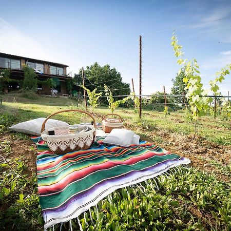 La Ca Dal Non Bioagriturismo - Alpenice Savignano sul Panaro Bagian luar foto
