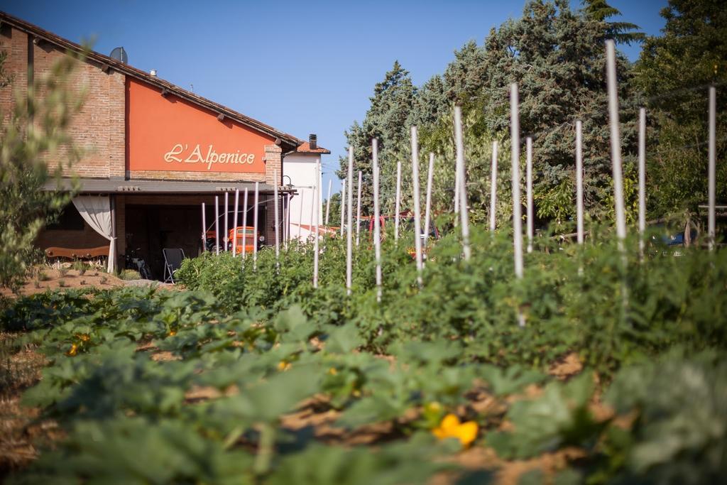 La Ca Dal Non Bioagriturismo - Alpenice Savignano sul Panaro Bagian luar foto