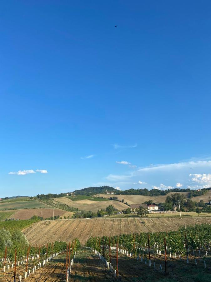 La Ca Dal Non Bioagriturismo - Alpenice Savignano sul Panaro Bagian luar foto