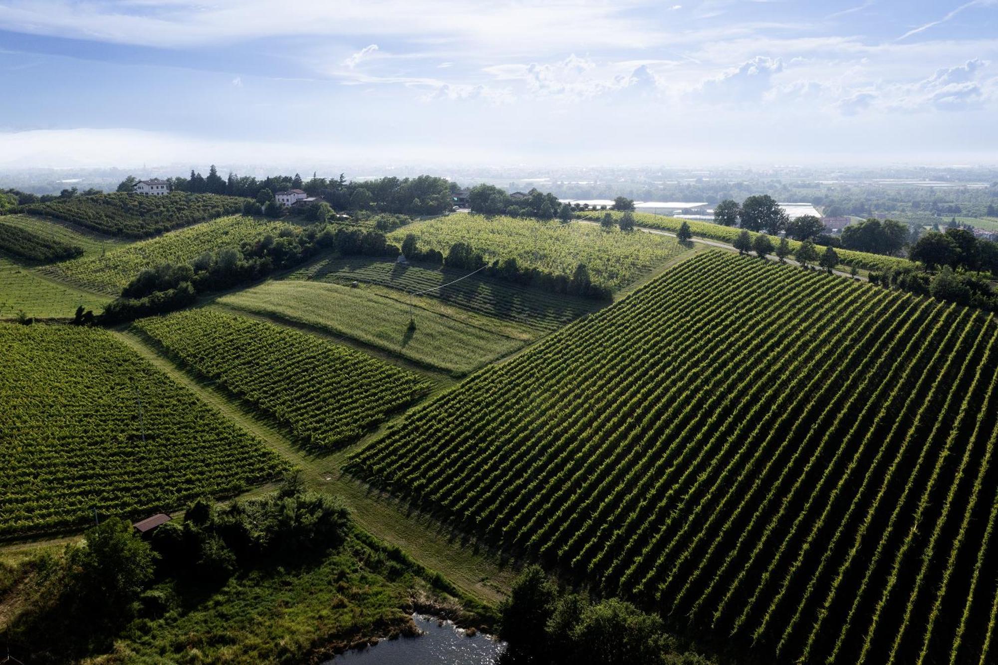 La Ca Dal Non Bioagriturismo - Alpenice Savignano sul Panaro Bagian luar foto