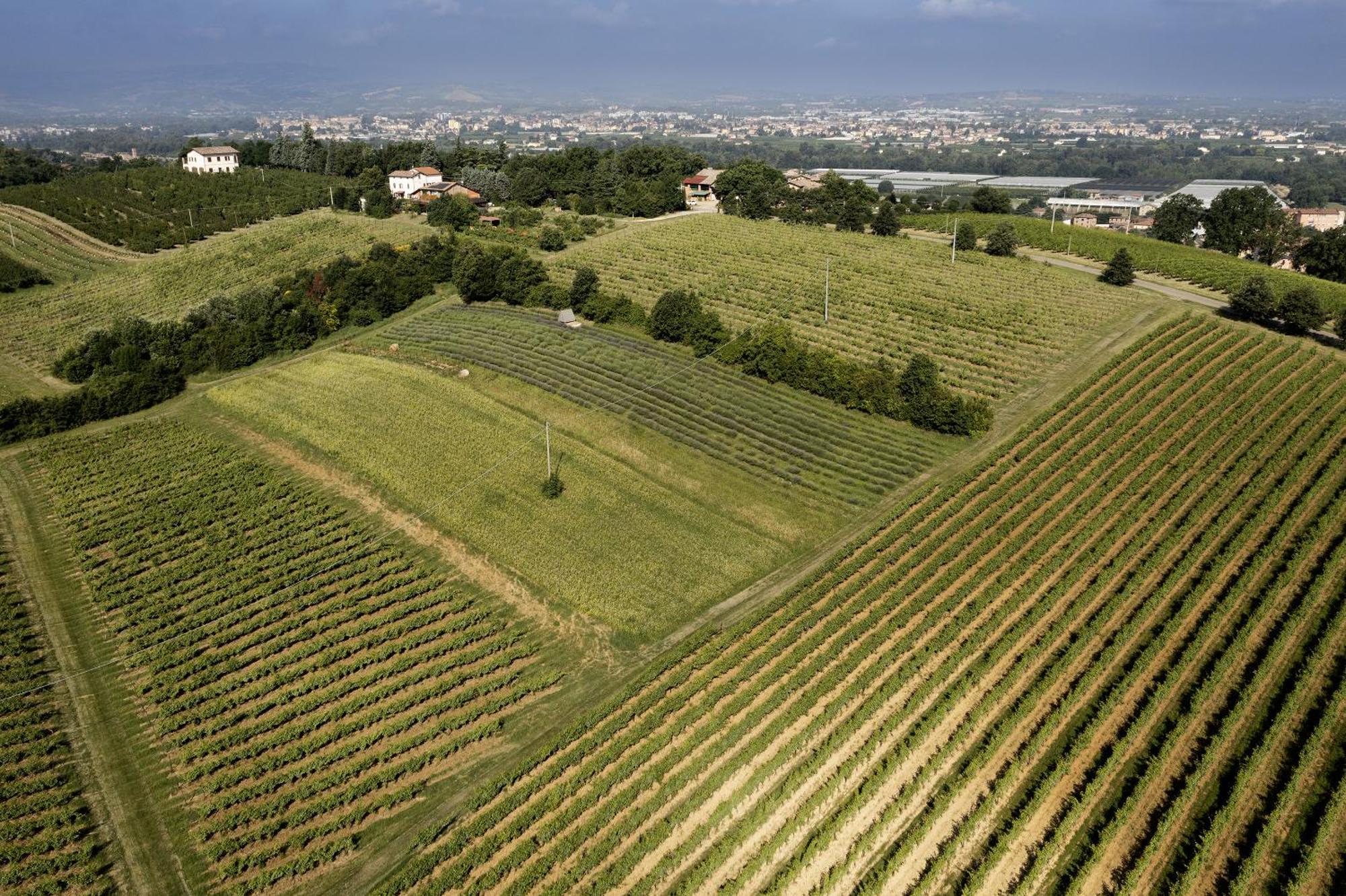 La Ca Dal Non Bioagriturismo - Alpenice Savignano sul Panaro Bagian luar foto