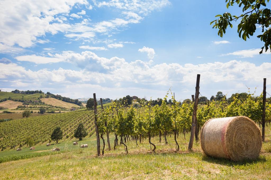 La Ca Dal Non Bioagriturismo - Alpenice Savignano sul Panaro Bagian luar foto