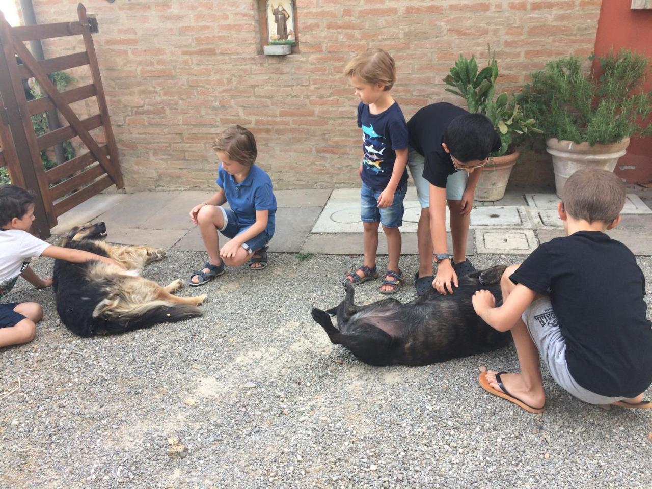 La Ca Dal Non Bioagriturismo - Alpenice Savignano sul Panaro Bagian luar foto